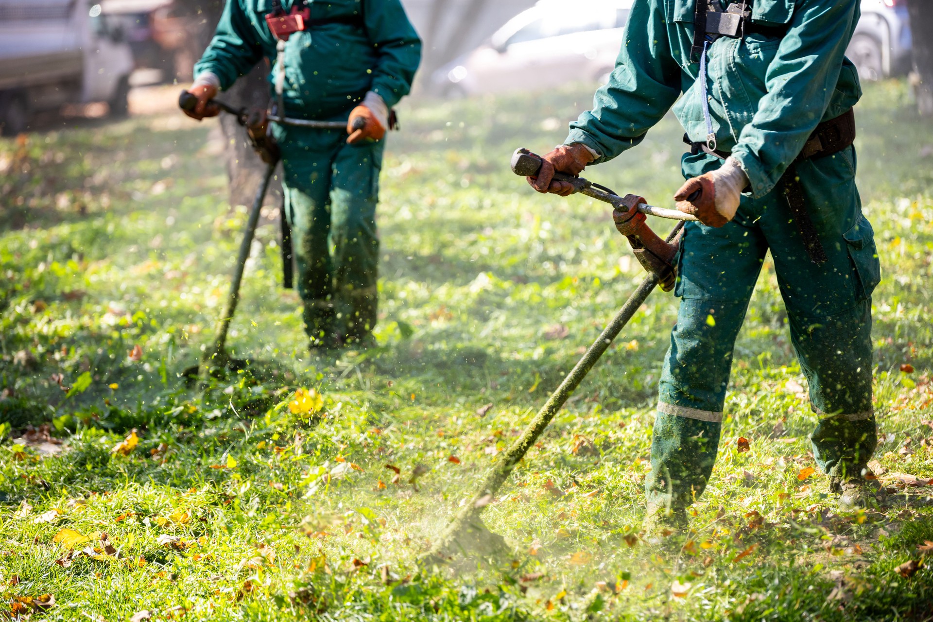 Des paysagistes utilisent des coupe-bordures pour entretenir l’herbe et la végétation dans le parc pendant une journée ensoleillée